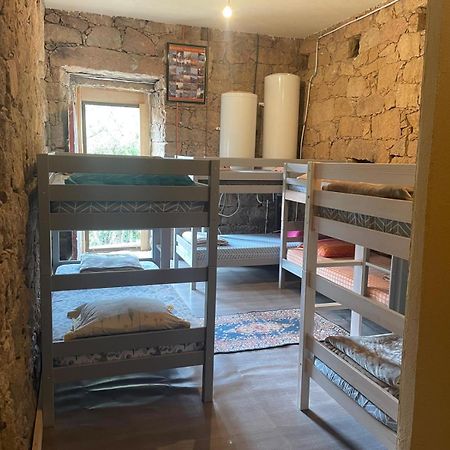 Bed and Breakfast L'Alivi Serriera  Esterno foto