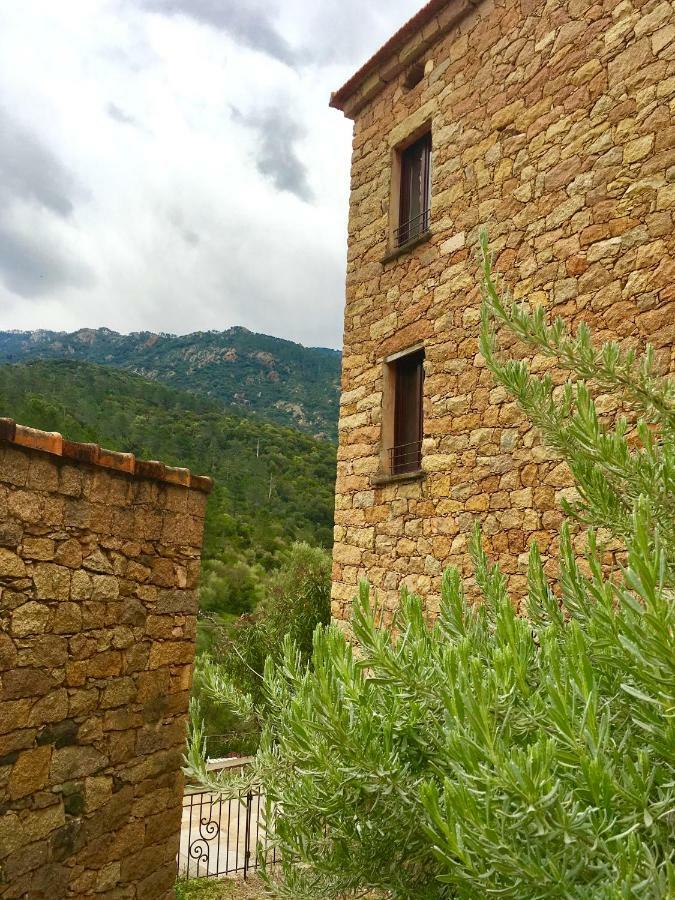 Bed and Breakfast L'Alivi Serriera  Esterno foto