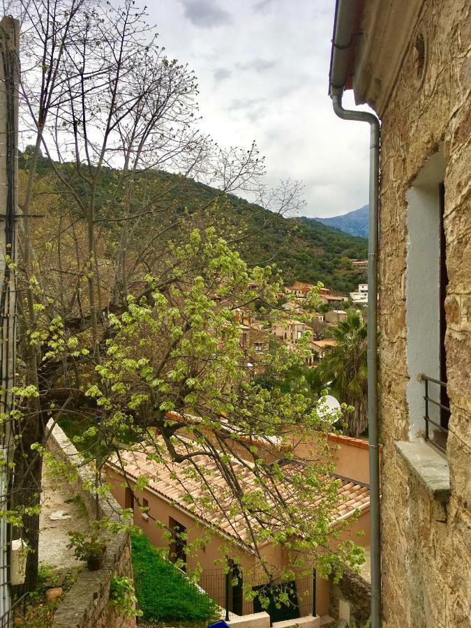 Bed and Breakfast L'Alivi Serriera  Esterno foto