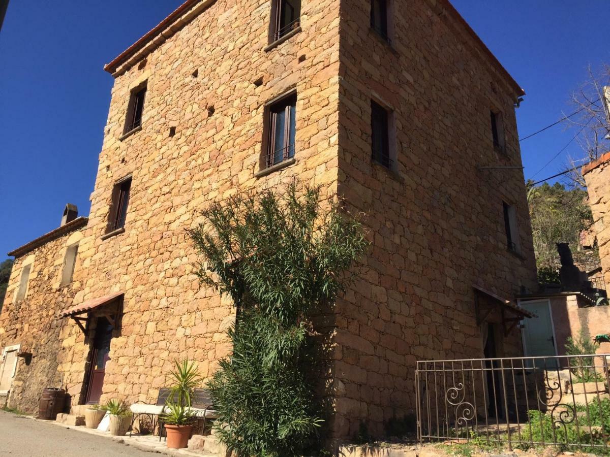 Bed and Breakfast L'Alivi Serriera  Esterno foto